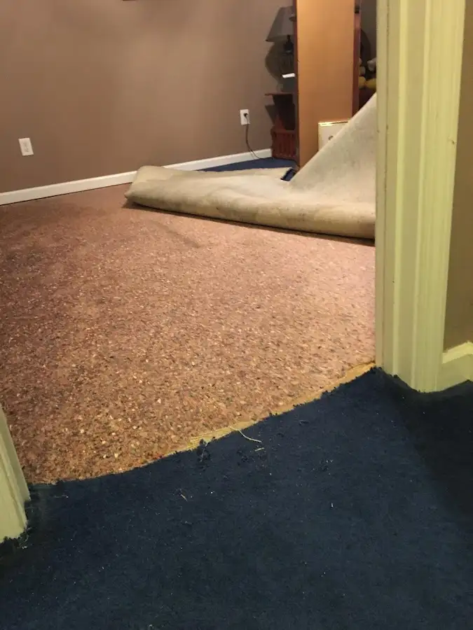 Carpet pad removal revealing water damage during Drying & Dehumidification in Delaware