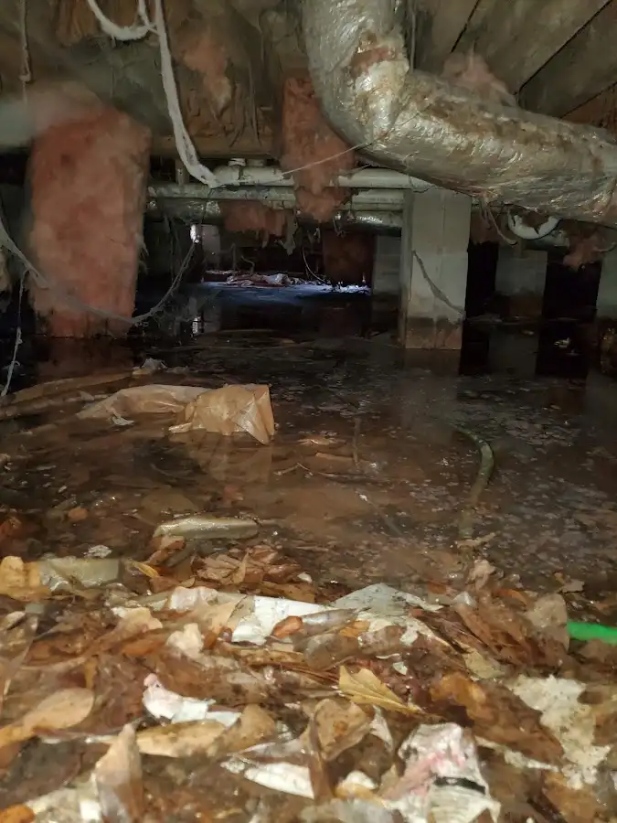 Crawl space flood assessment for Leak Detection & Repair in Delaware